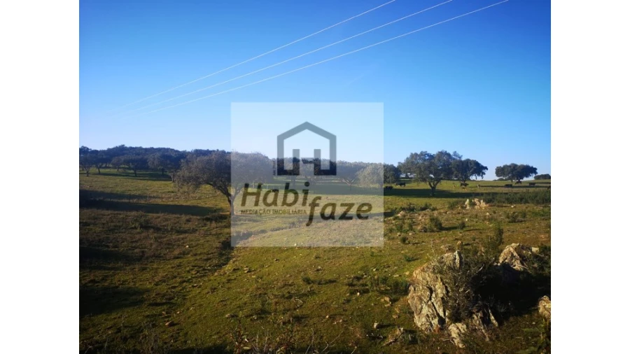 Quinta T8 para Venda em Terena (São Pedro) Foto 3