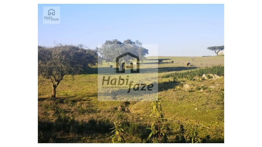 Quinta T8 para Venda em Terena (São Pedro) Foto 11