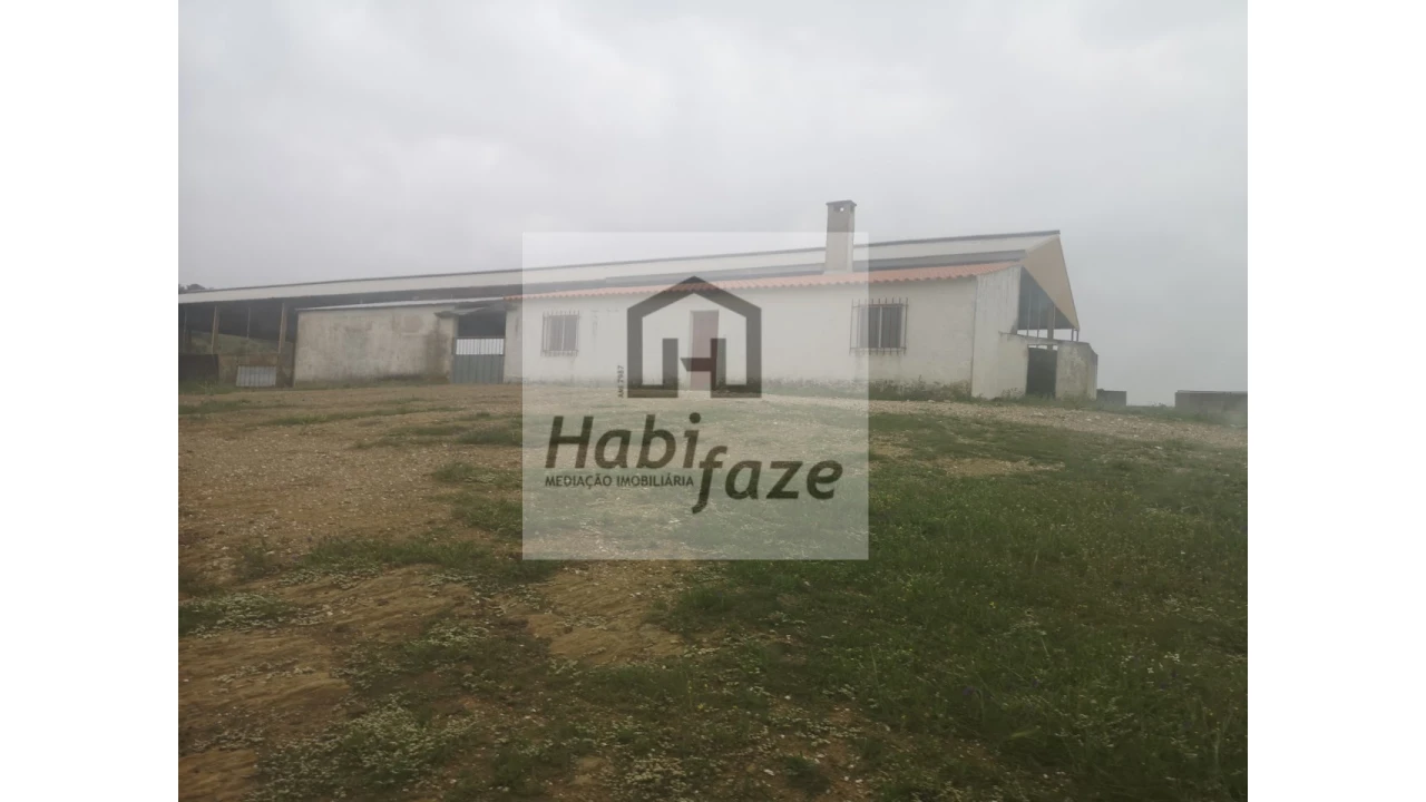 Quinta para Venda em Mertola Foto 7