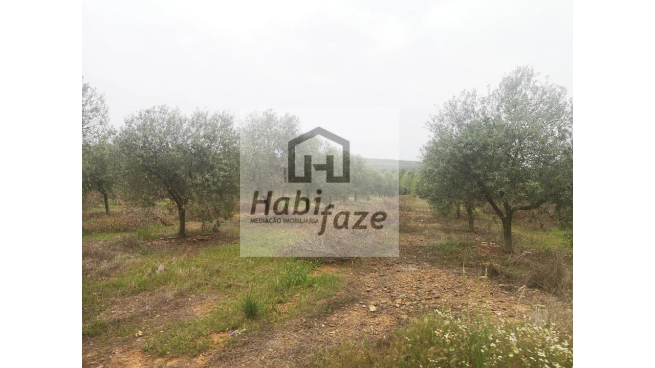 Quinta para Venda em Mertola Foto 5