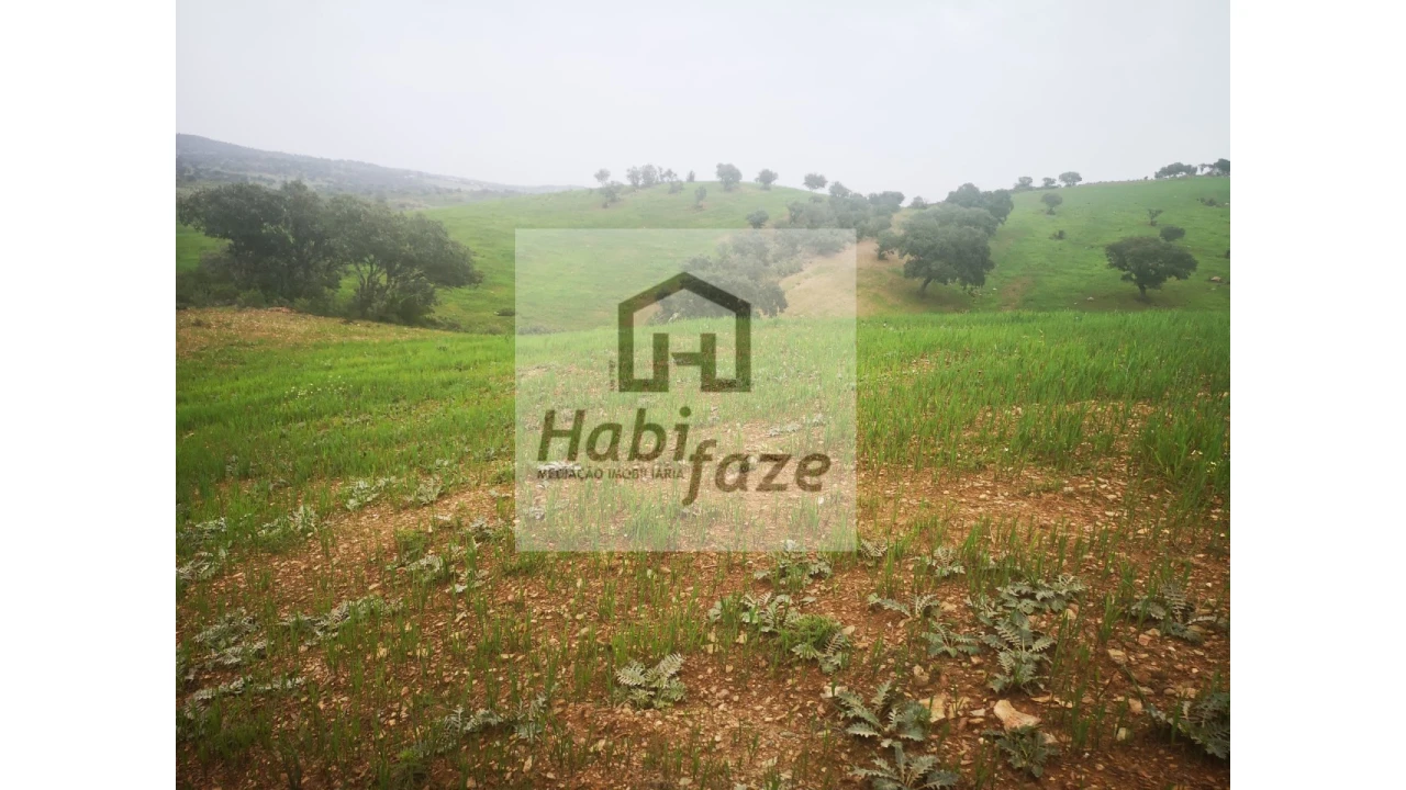 Quinta para Venda em Mertola Foto 3