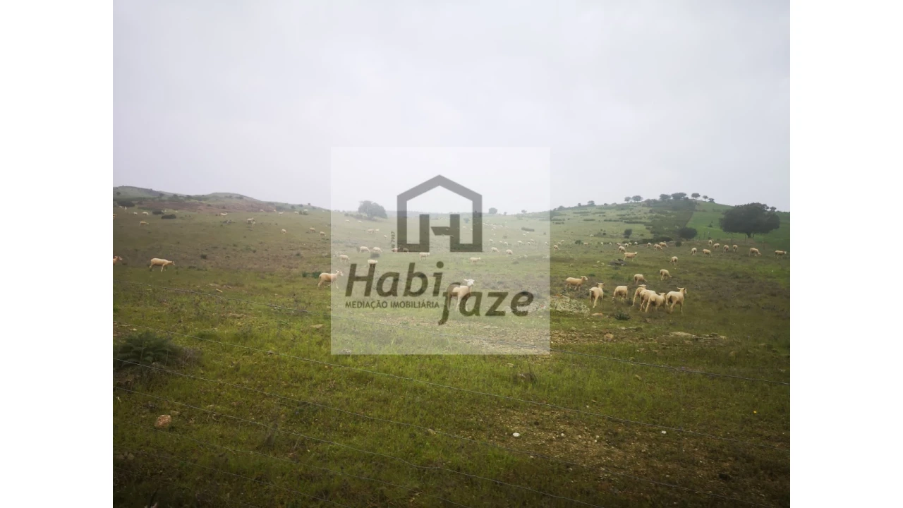 Quinta para Venda em Mertola Foto 6