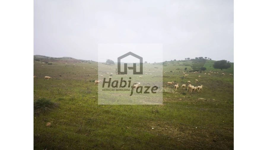 Quinta para Venda em Mertola Foto 6