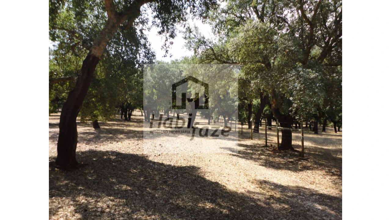 Quinta T6 para Venda em São Lourenço de Mamporcão e São Bento de Ana Loura Foto 6