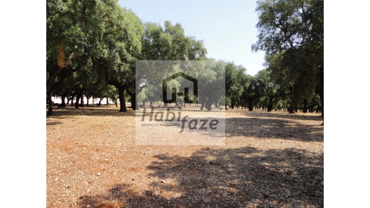 Quinta T6 para Venda em São Lourenço de Mamporcão e São Bento de Ana Loura Foto 3