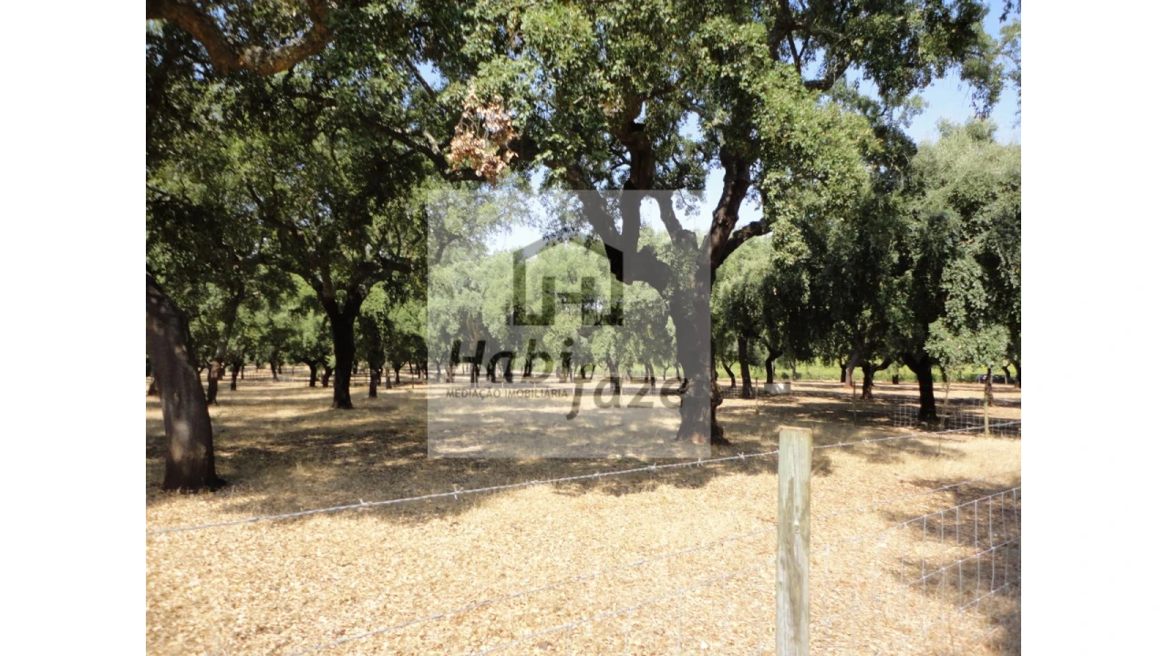 Quinta T6 para Venda em São Lourenço de Mamporcão e São Bento de Ana Loura Foto 7