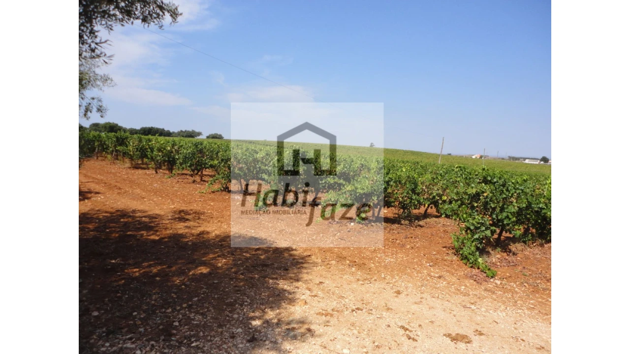 Quinta T6 para Venda em São Lourenço de Mamporcão e São Bento de Ana Loura Foto 1