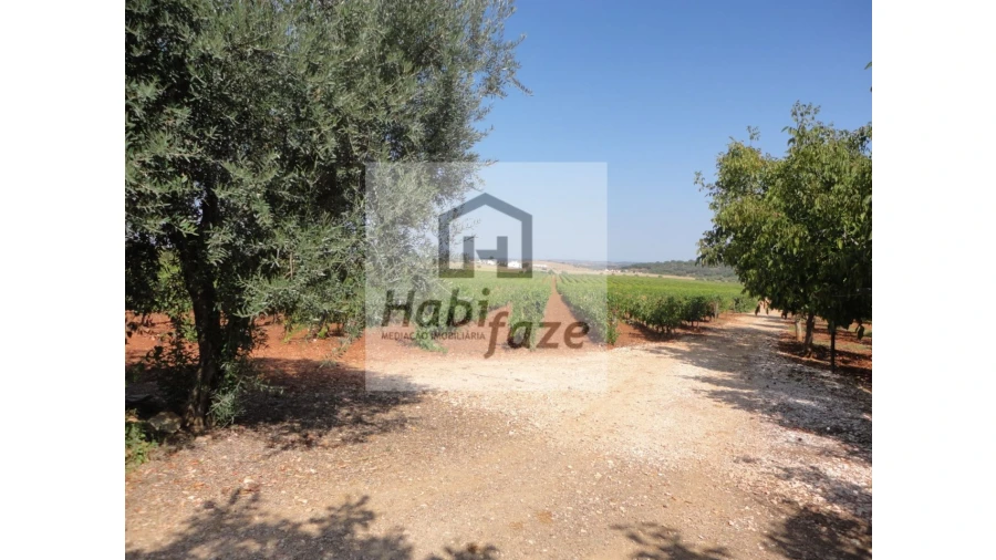 Quinta T6 para Venda em São Lourenço de Mamporcão e São Bento de Ana Loura Foto 4