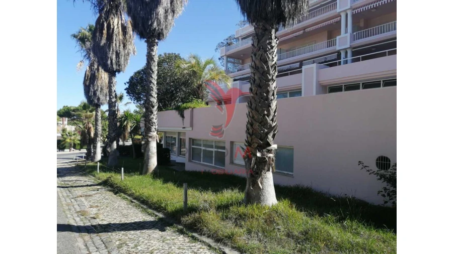 Loja para Venda em Carvalhal Foto 10