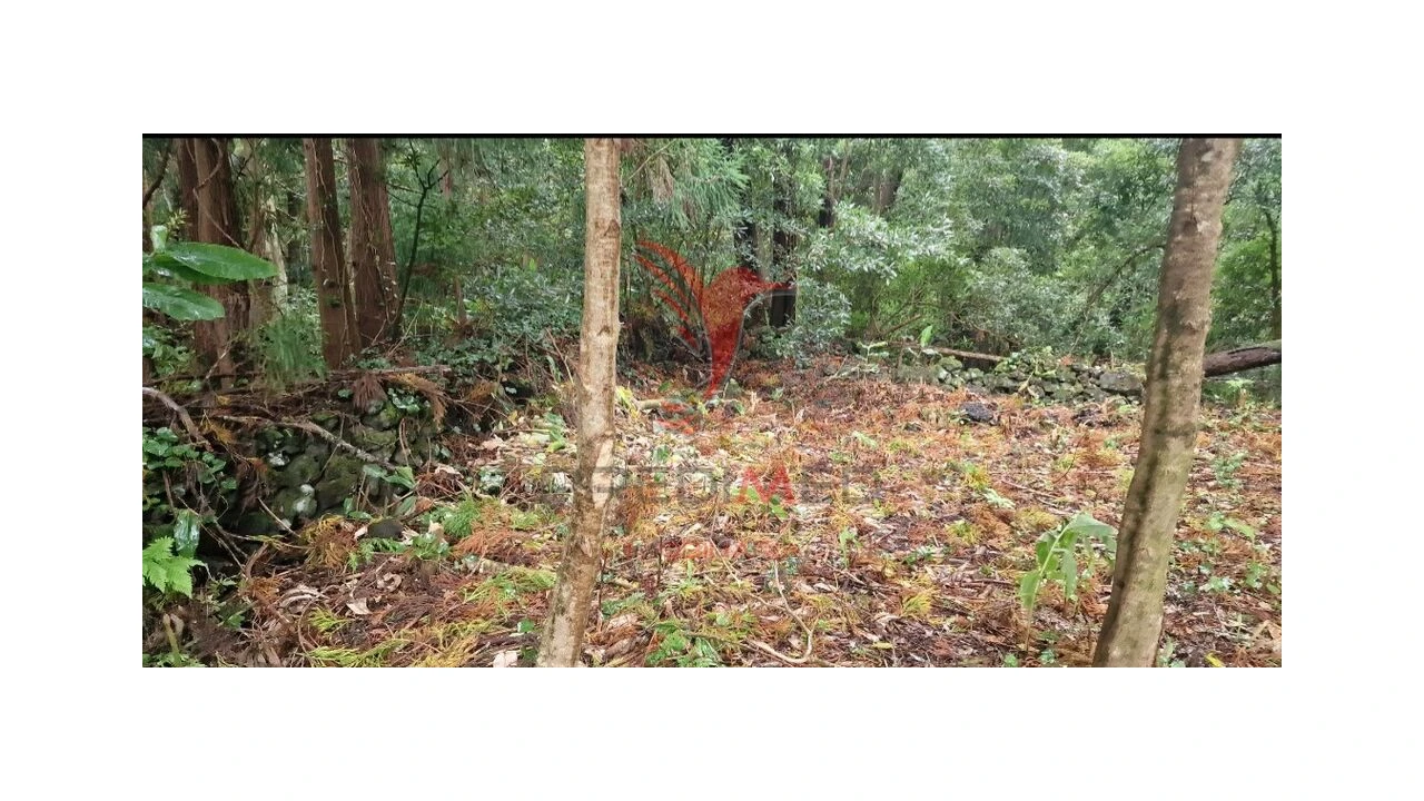 Terreno para Venda em Biscoitos Foto 12