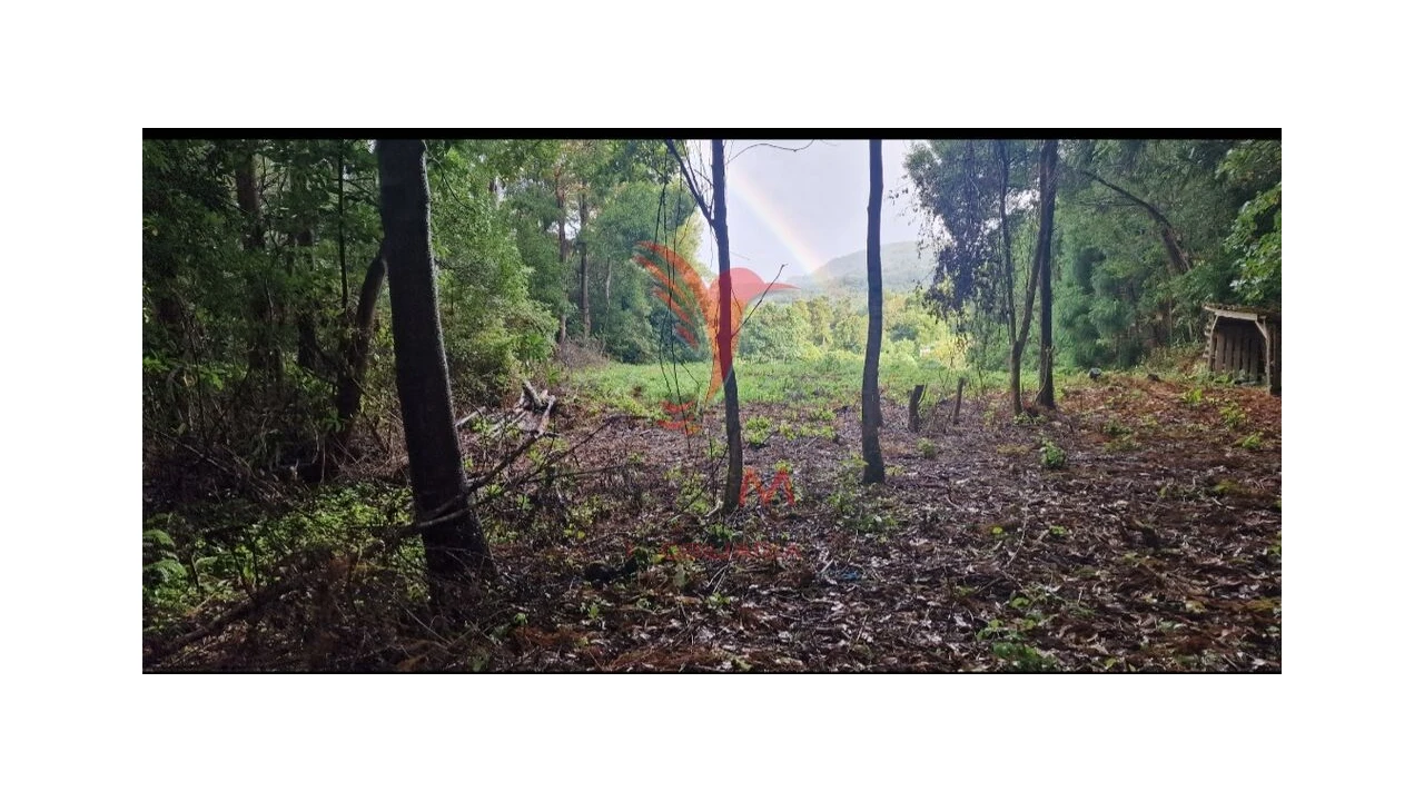 Terreno para Venda em Biscoitos Foto 10