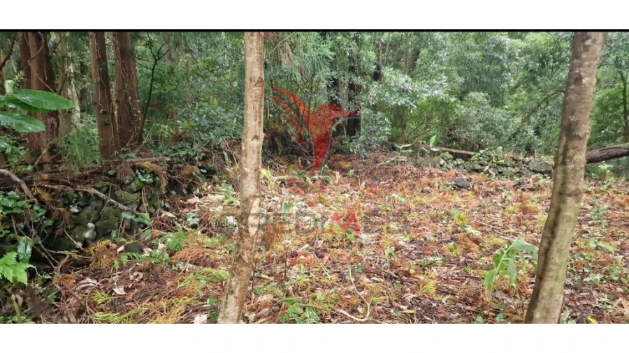 Terreno para Venda em Biscoitos Foto 12