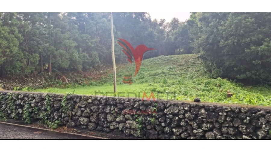 Terreno para Venda em Biscoitos Foto 17