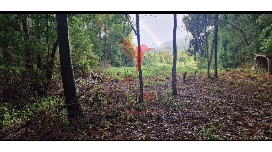 Terreno para Venda em Biscoitos Foto 10