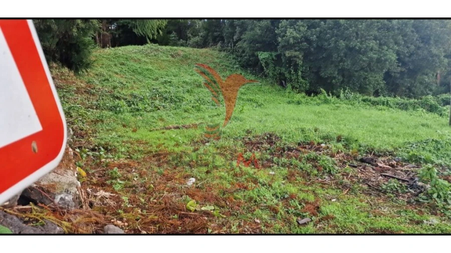 Terreno para Venda em Biscoitos Foto 3