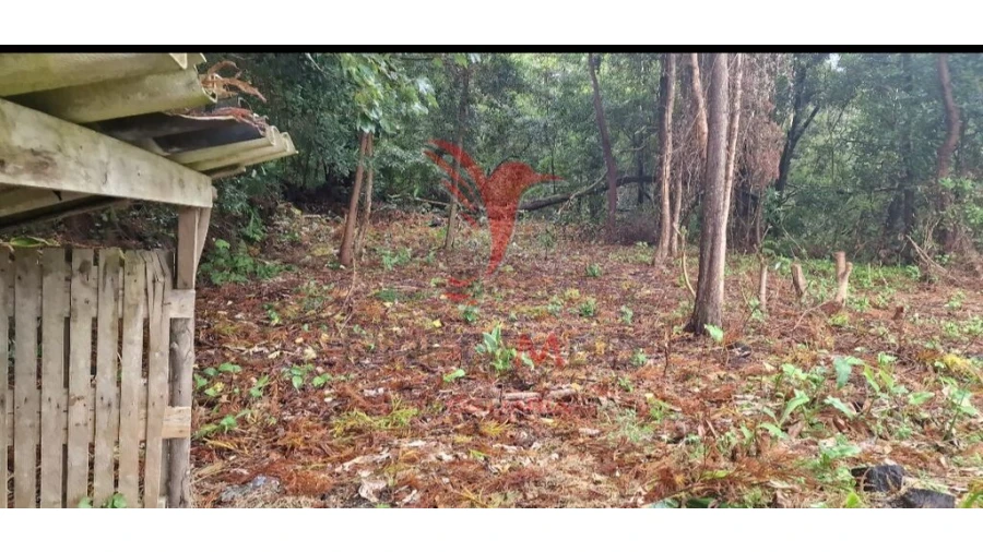 Terreno para Venda em Biscoitos Foto 14