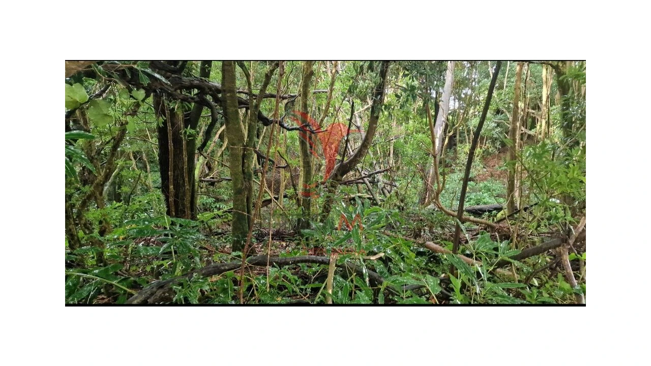 Terreno para Venda em Biscoitos Foto 11