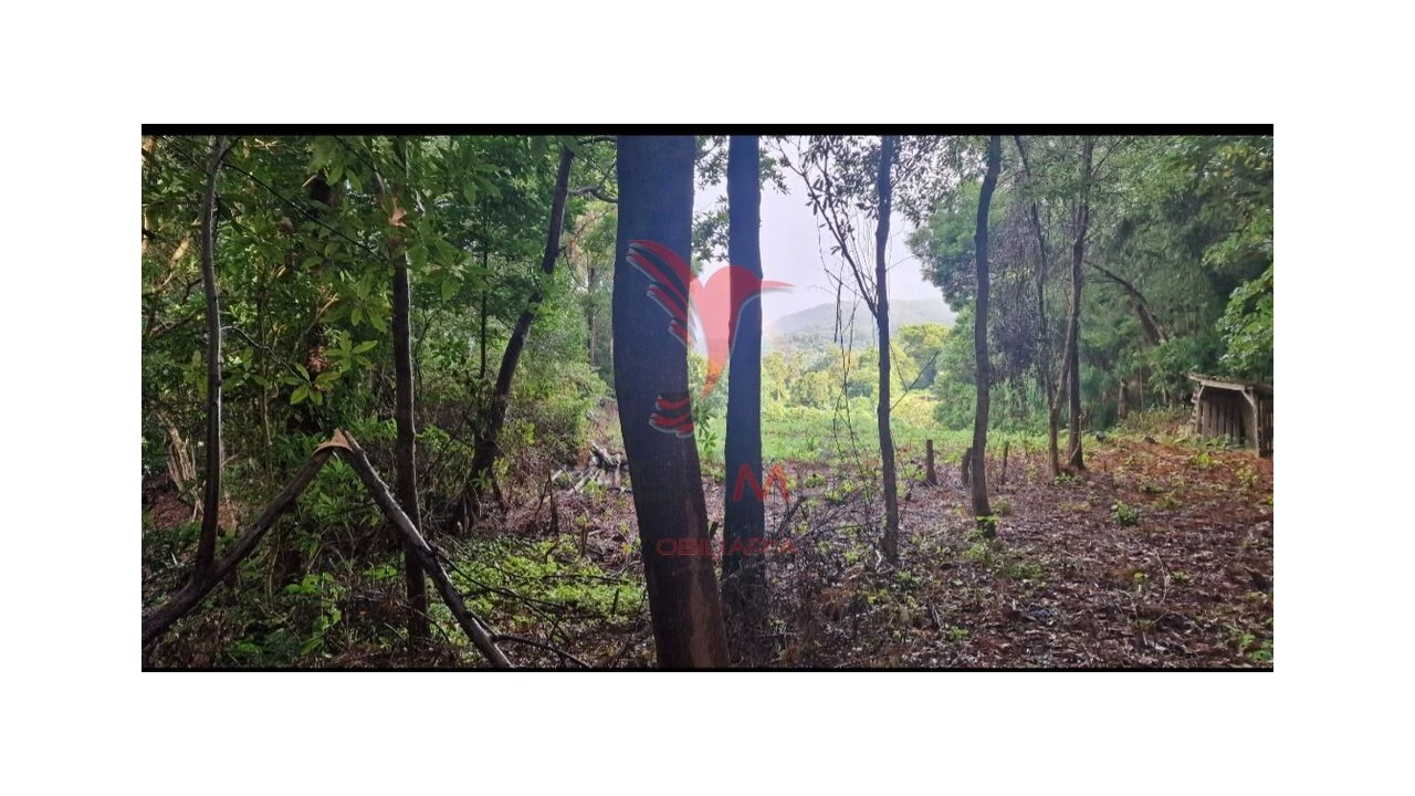 Terreno para Venda em Biscoitos Foto 8