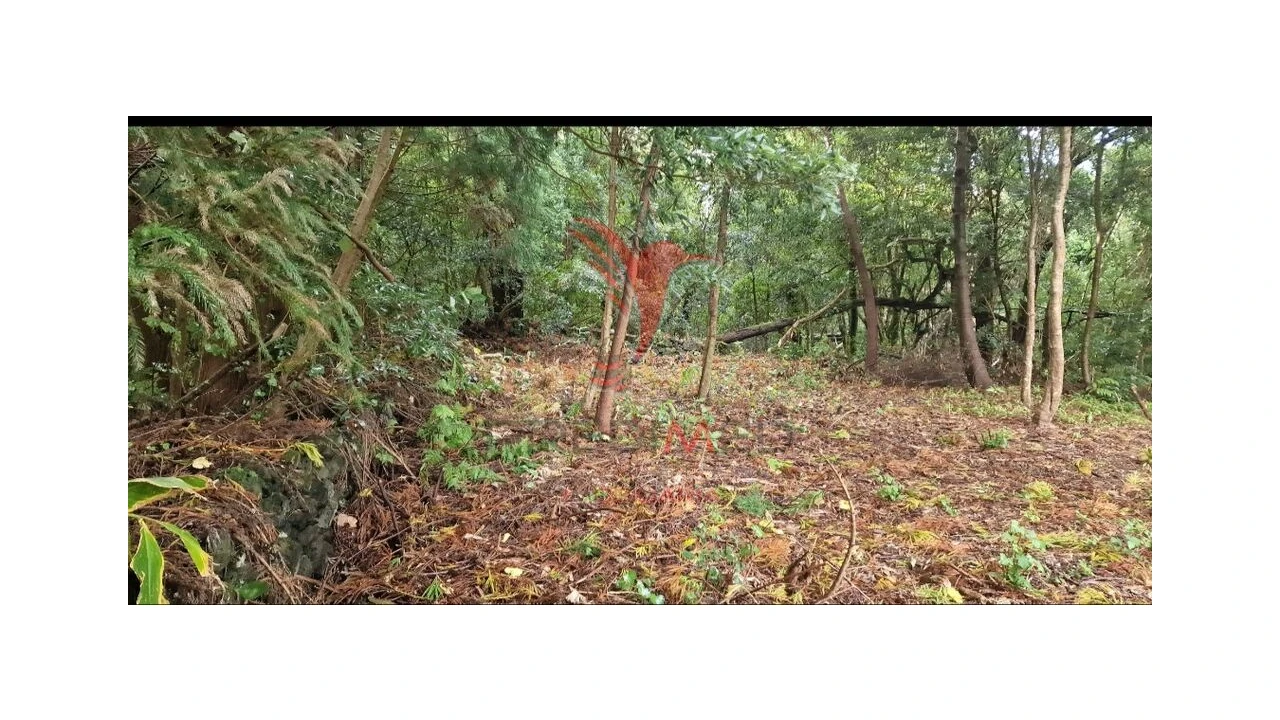 Terreno para Venda em Biscoitos Foto 13