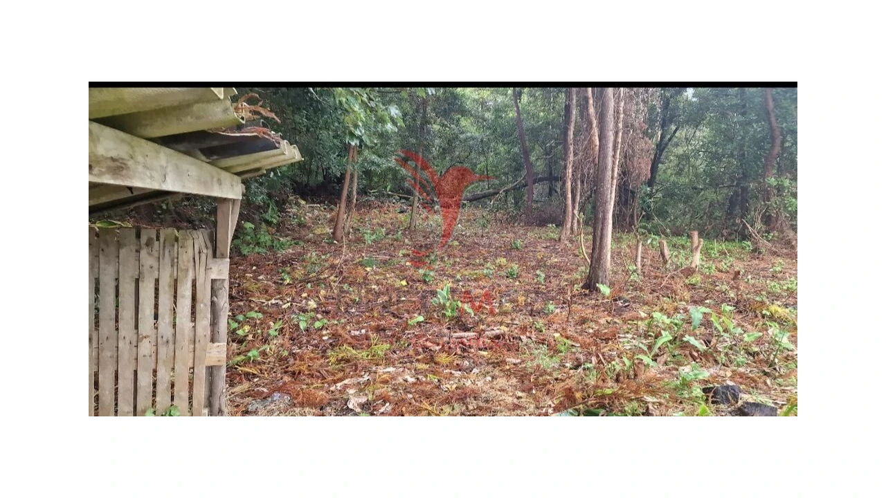 Terreno para Venda em Biscoitos Foto 14