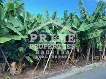 Terreno para Venda em Arco da Calheta