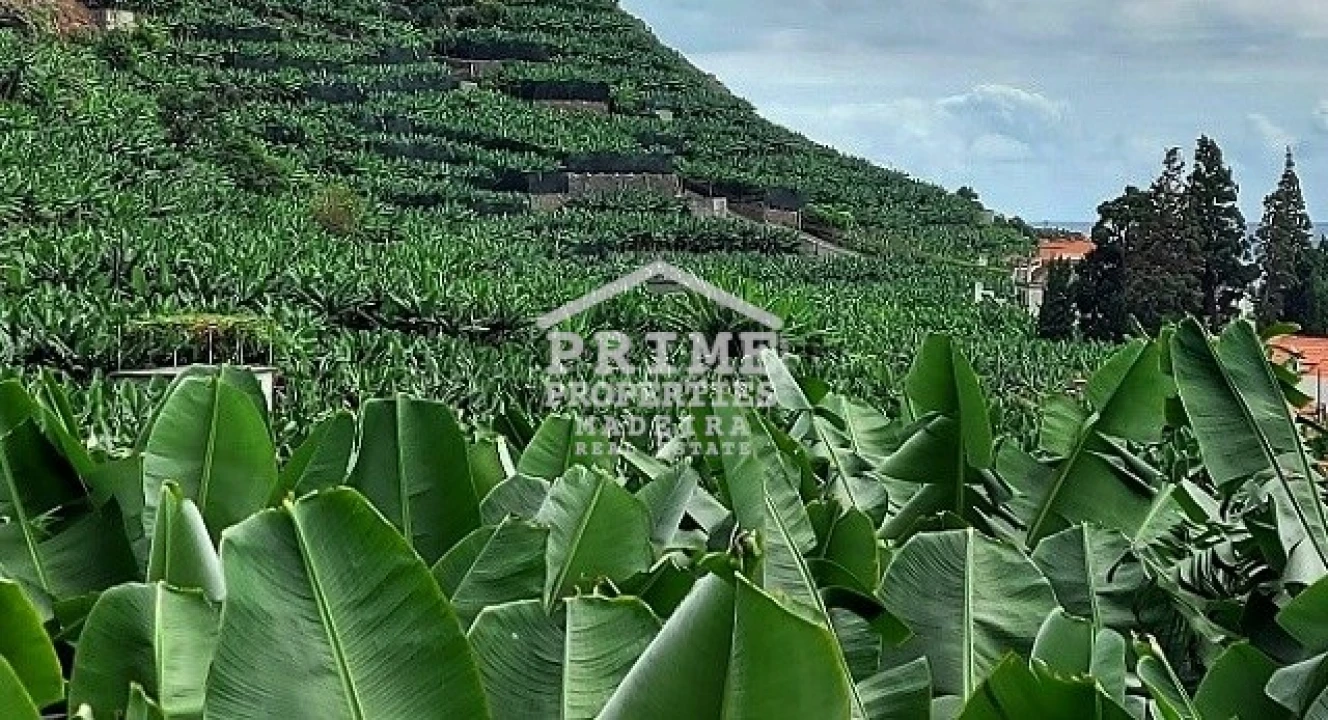 Terreno para Venda em Arco da Calheta Foto 2