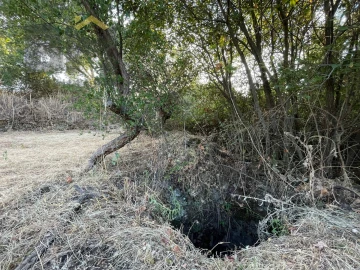 Terreno Agricola ou Rústico para Venda em Ninho do Açor e Sobral do Campo