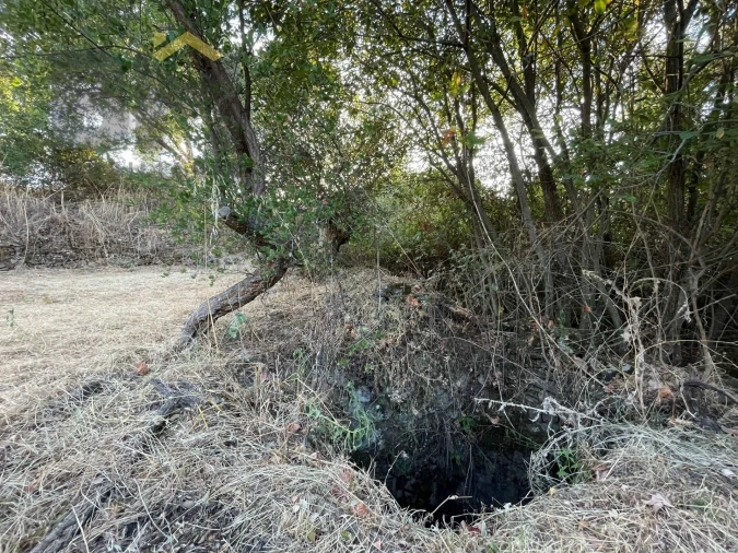 Terreno Agricola ou Rústico para Venda em Ninho do Açor e Sobral do Campo Foto 11