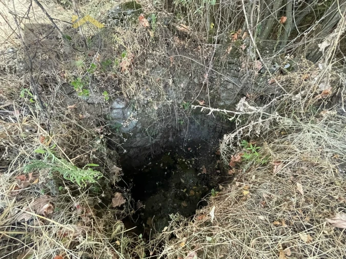 Terreno Agricola ou Rústico para Venda em Ninho do Açor e Sobral do Campo Foto 12
