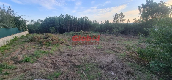 Terreno para Venda em Repeses e São Salvador