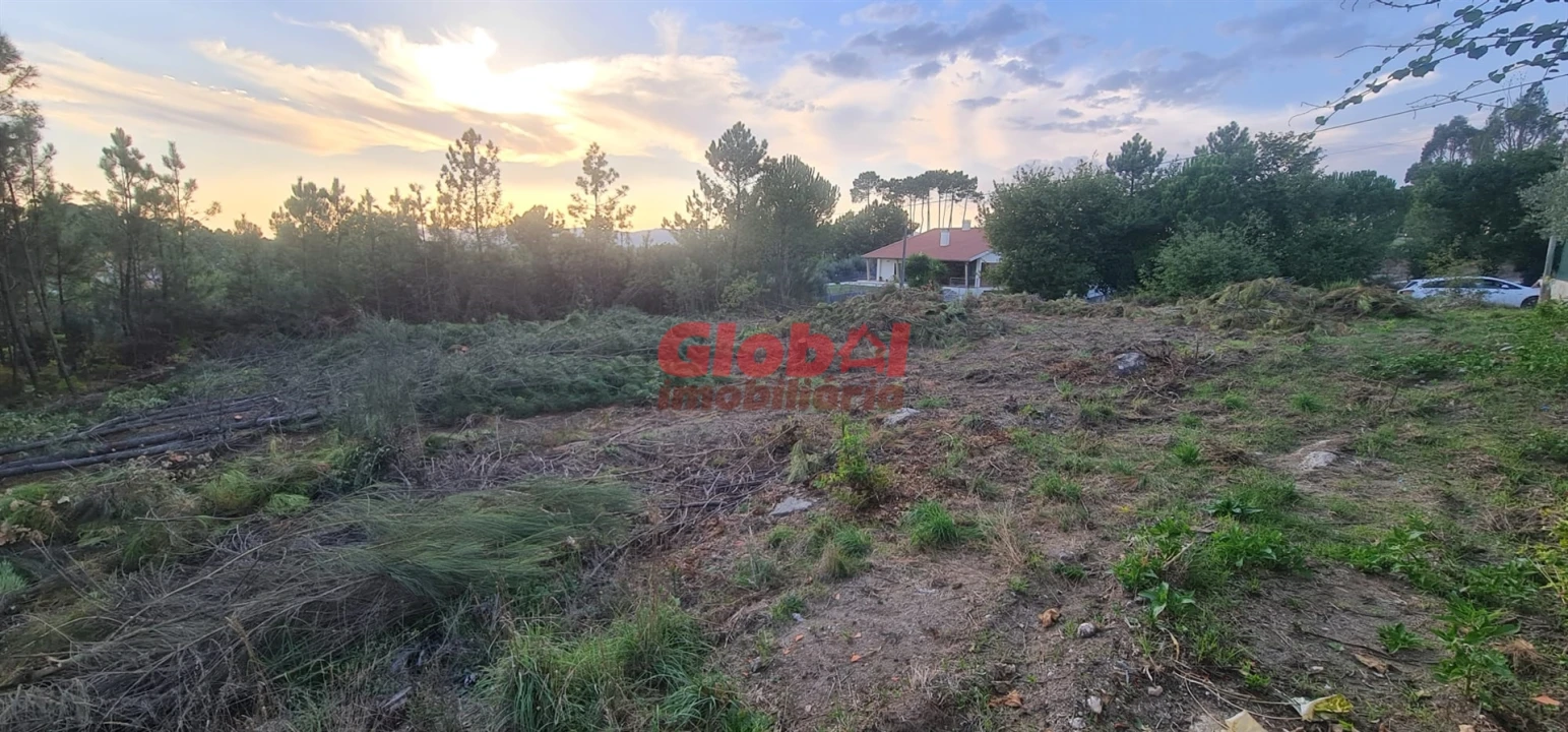 Terreno para Venda em Repeses e São Salvador Foto 1