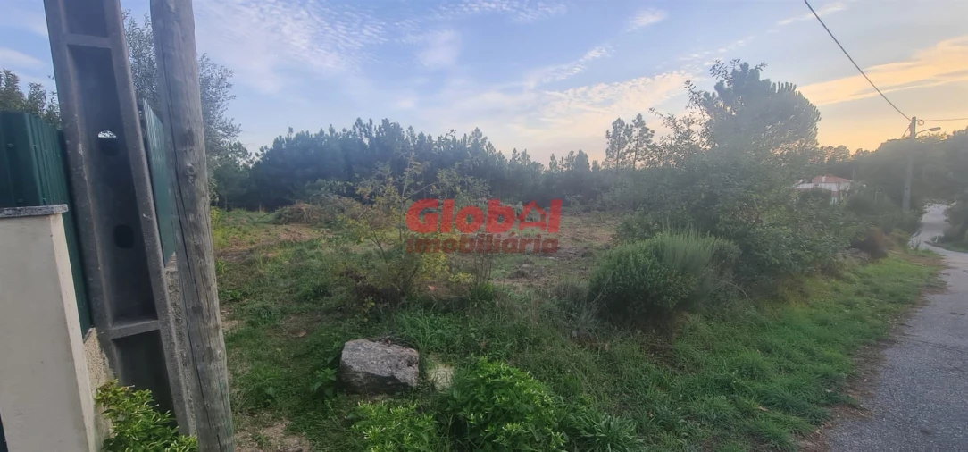 Terreno para Venda em Repeses e São Salvador Foto 3