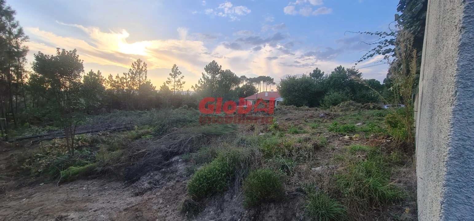 Terreno para Venda em Repeses e São Salvador Foto 2
