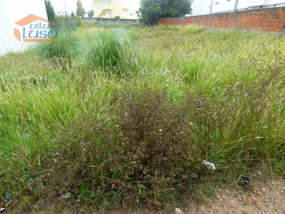 Terreno para Venda em Avintes Foto 9