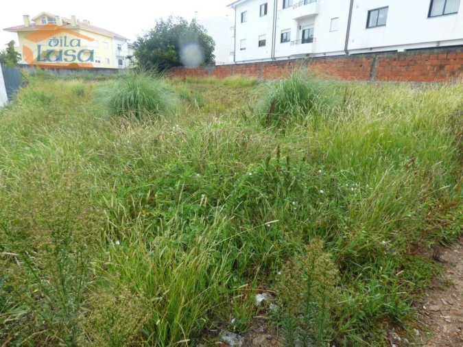 Terreno para Venda em Avintes Foto 5