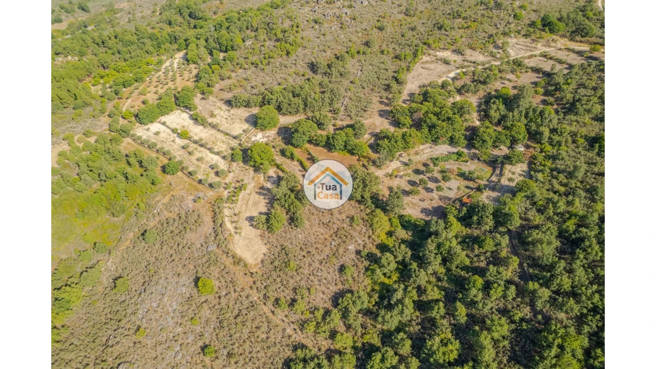 Terreno para Venda em Ferreirim e Macieira Foto 10