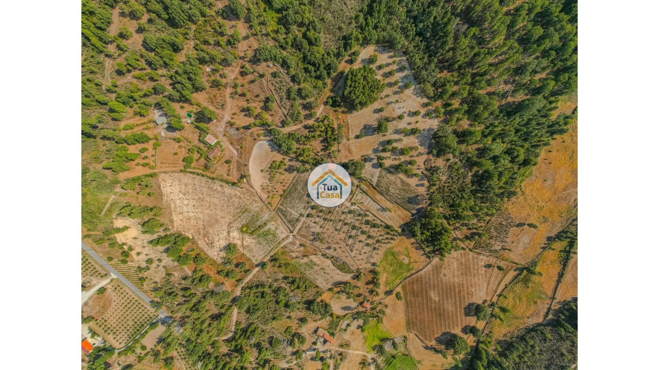 Terreno para Venda em Ferreirim e Macieira Foto 2