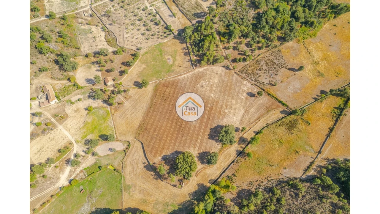 Terreno para Venda em Ferreirim e Macieira Foto 4