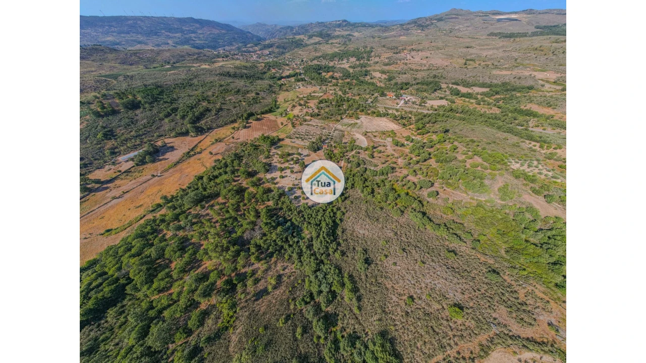 Terreno para Venda em Ferreirim e Macieira Foto 3