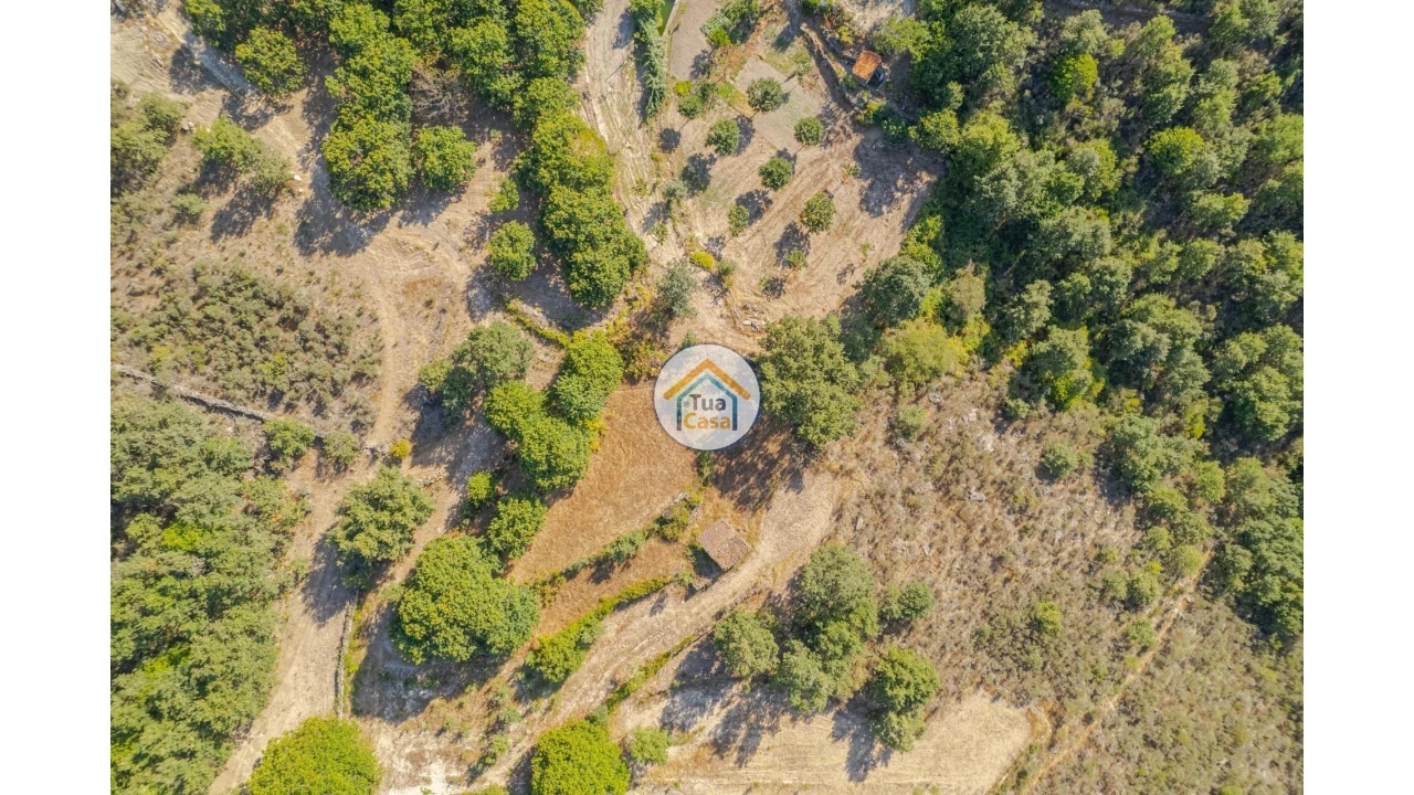Terreno para Venda em Ferreirim e Macieira Foto 12