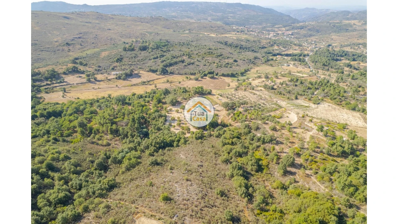 Terreno para Venda em Ferreirim e Macieira Foto 16