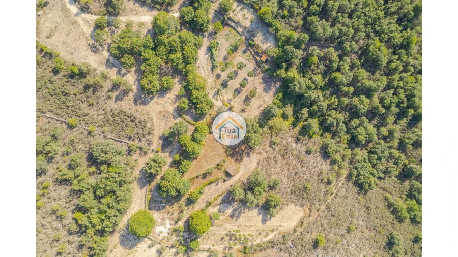 Terreno para Venda em Ferreirim e Macieira Foto 13