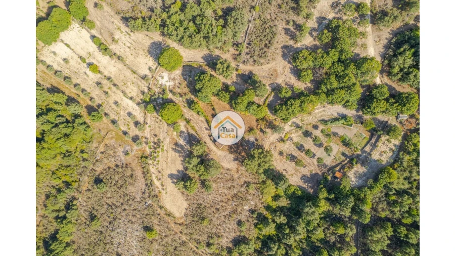 Terreno para Venda em Ferreirim e Macieira Foto 19