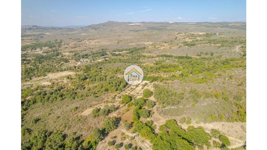 Terreno para Venda em Ferreirim e Macieira Foto 14