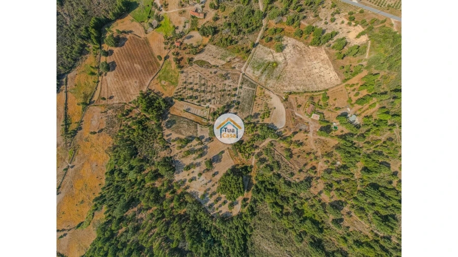 Terreno para Venda em Ferreirim e Macieira Foto 1
