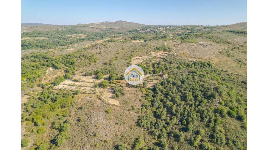 Terreno para Venda em Ferreirim e Macieira Foto 9