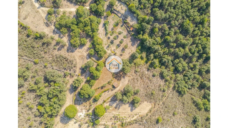 Terreno para Venda em Ferreirim e Macieira Foto 11