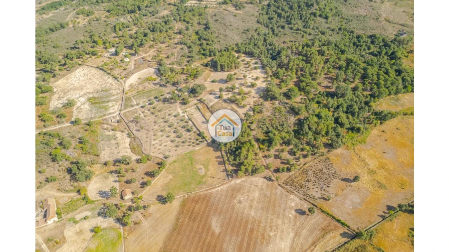 Terreno para Venda em Ferreirim e Macieira Foto 5