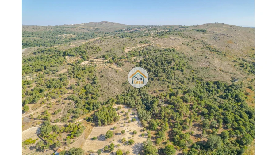 Terreno para Venda em Ferreirim e Macieira Foto 8