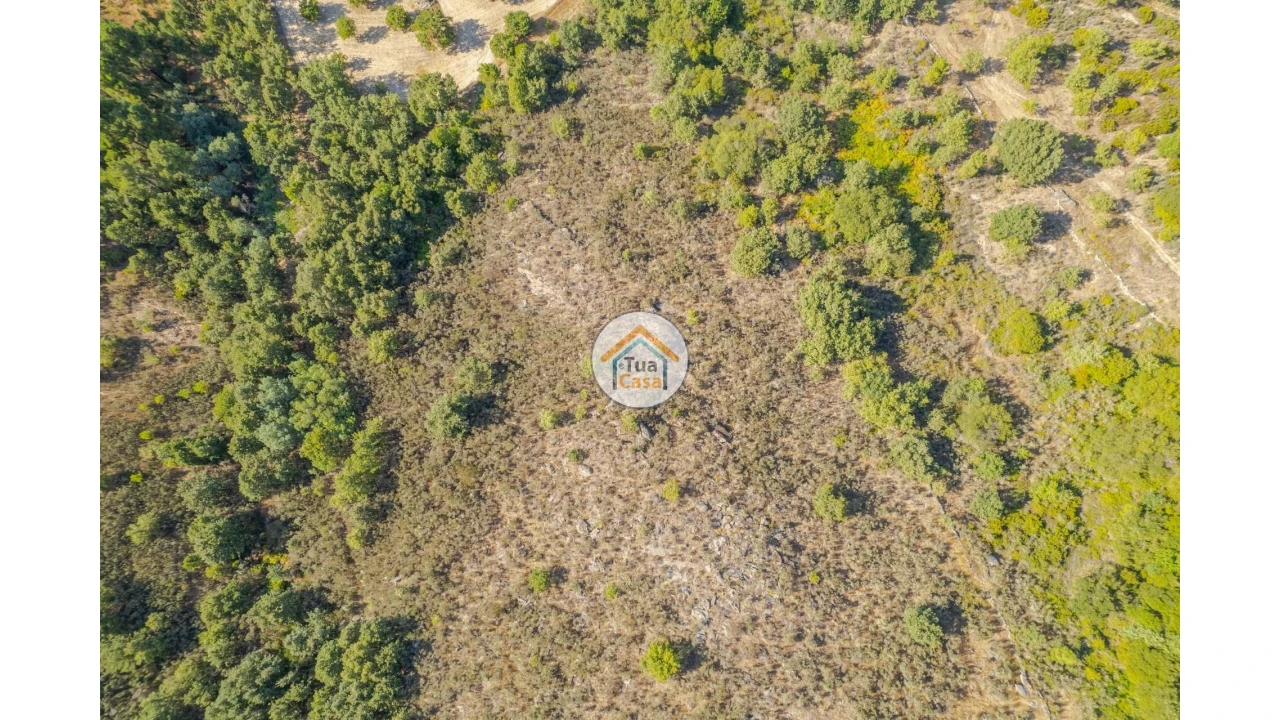 Terreno para Venda em Ferreirim e Macieira Foto 17